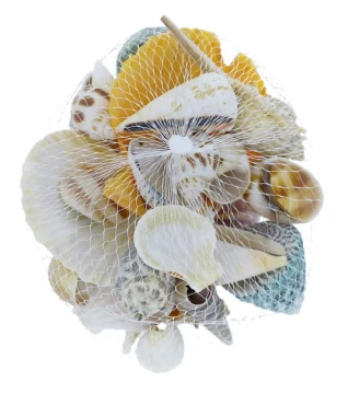 ASSORTED SEASHELLS
