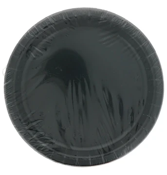 BLACK 9 Inch Dinner Plates 16 Count