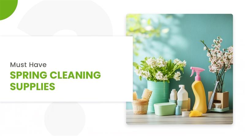 Spring cleaning Supplies at Dollar King