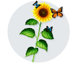 Butterflies And Flowers Butterflies And Flowers