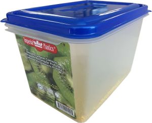 RECTANGLE CONTAINER 9 CUPS  