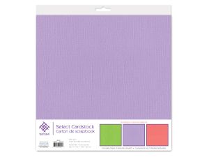 BUBBLE GUM SCRAPBOOK PAPER 12 X 12 ASST PRE-PACKAGED  XXX