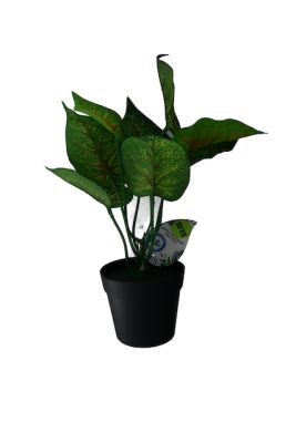 3.99 TROPICAL LEAF 