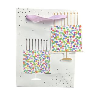 SMALL HAPPY BITHDAY GIFT BAG 