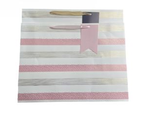 XL EVERYDAY GIFT BAG 