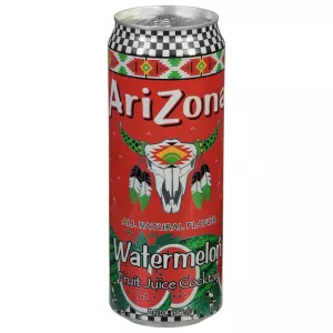 ARIZONA WATERMELON FRUIT JUICE 22 FL OZ