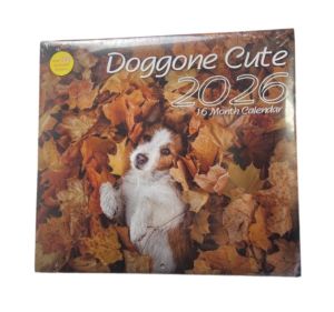 2.99 DOGONE CUTE 2026 16 MONTH CALENDAR 