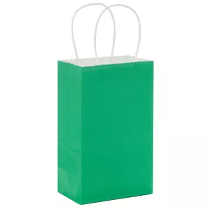 GREEN 4 CRAFT BAGS 5.25 X 8.5 X 3.25 INCH