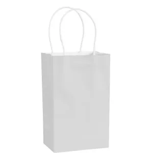 WHITE 4 CRAFT BAGS 5.25 X 8.5 X 3.25 INCH