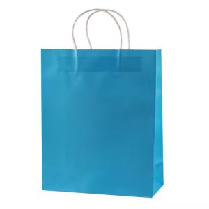 BLUE 3 CRAFT BAGS 8 X 10 X 4.75 INCH