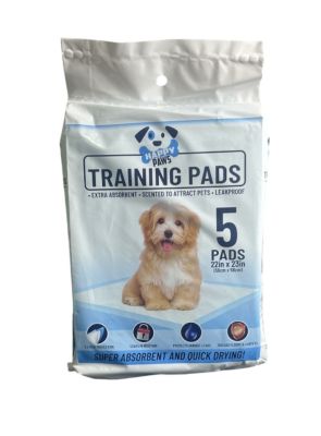 TRAINING PADS 5 COUNT