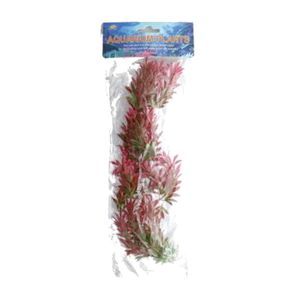 AQUARIUM PLANT  