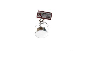 1.99 BALL CLEAR W/HOUSE 10CM 1PC TRD