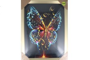 9.99 BUTTERFLY CANVAS