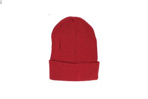 1.99 ADULT BEANIE ASST