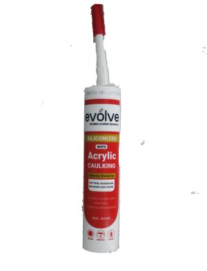 2.99 EVOLVE SILICONIZED ACRYLIC CAULKING WHITE 10 OZ