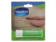 ALOE VERA VASELINE LIP THERAPY