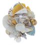 ASSORTED SEASHELLS