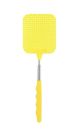 EXTENDABLE FLY SWATTER