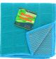 TEAL SCRUBBER 2 PACK 12 X 12 INCH. XXX