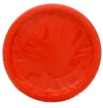 RED 9 Inch Dinner Plates 16 Count  