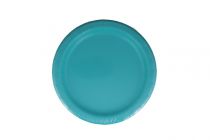 TEAL 7 INCH PLATE  