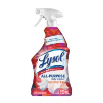 4.99 LYSOL DISINFECTING SPRAY ALL PURPOSE SUN KISSED LINEN 650 ML