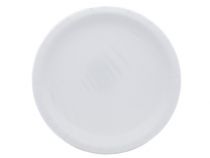 White 9 Inch Dinner Plates 16 Count  