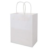 WHITE 3 CRAFT BAGS 8 X 10 X 4.75 INCH