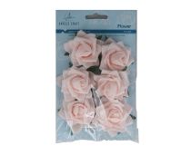 PINK FLOWER 6 PACK