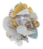 ASSORTED SEASHELLS