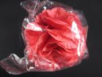 ROSE FLOWER CORAL 4IN