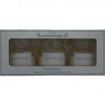 ETYMOLOGY CANDLES 3 PACK