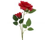 ROSE LONG STEM BRANCH LONG