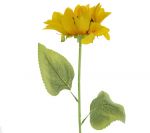 SUNFLOWER LONG STEM