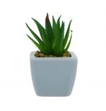 CACTUS WITH POT