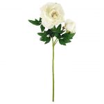 PEONY LONG STEM WHITE
