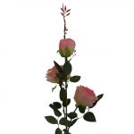 ROSE LONG STEM