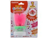 MUSICAL BIRTHDAY CANDLE