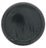 BLACK 9 Inch Dinner Plates 16 Count  