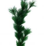 PINE BRANCH SHORT STEM