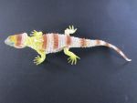 14 IN LIZARD