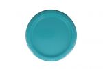 TEAL 7 INCH PLATE  