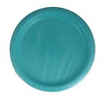 TEAL 9 INCH PLATE 16 COUNT XXX  