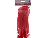 RED QUILL FEATHERS 10-12IN 4 COUNT