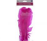 HOT PINK QUILL FEATHERS 10-12IN 4 COUNT XXX DIS