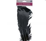 BLACK QUILL FEATHERS 10-24IN 4 COUNT