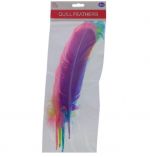 QUILL FEATHER 4 PACK 10-12 INCHES XXX