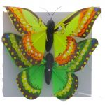BUTTERFLY 2 PACK 4 INCH