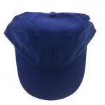 NAVY BLUE CAP
